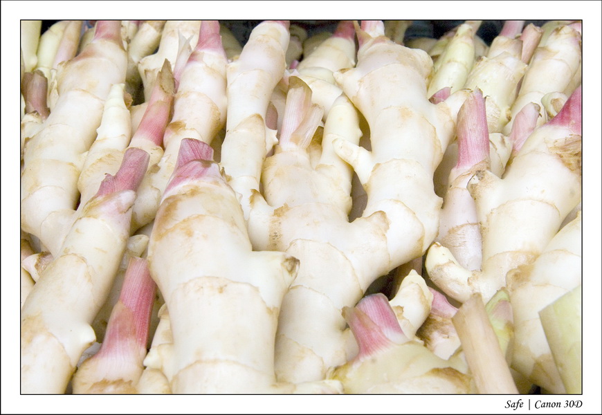 2008 - 07 - Hong Kong - 036